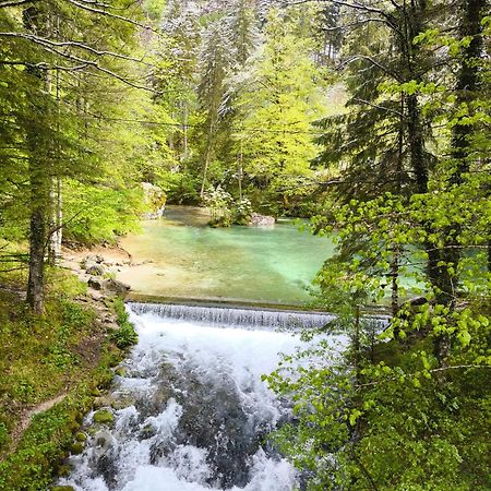 Skalca Villa Kamniska Bistrica Exteriör bild