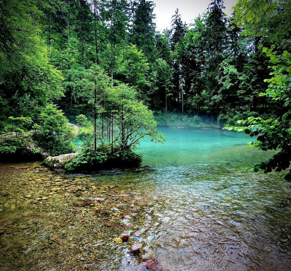 Skalca Villa Kamniska Bistrica Exteriör bild