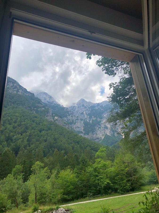 Skalca Villa Kamniska Bistrica Exteriör bild