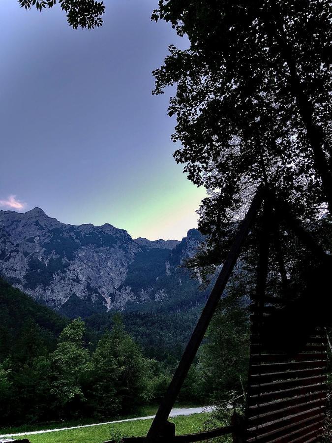 Skalca Villa Kamniska Bistrica Exteriör bild