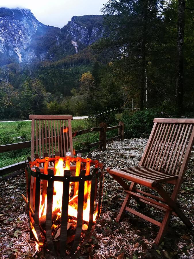 Skalca Villa Kamniska Bistrica Exteriör bild