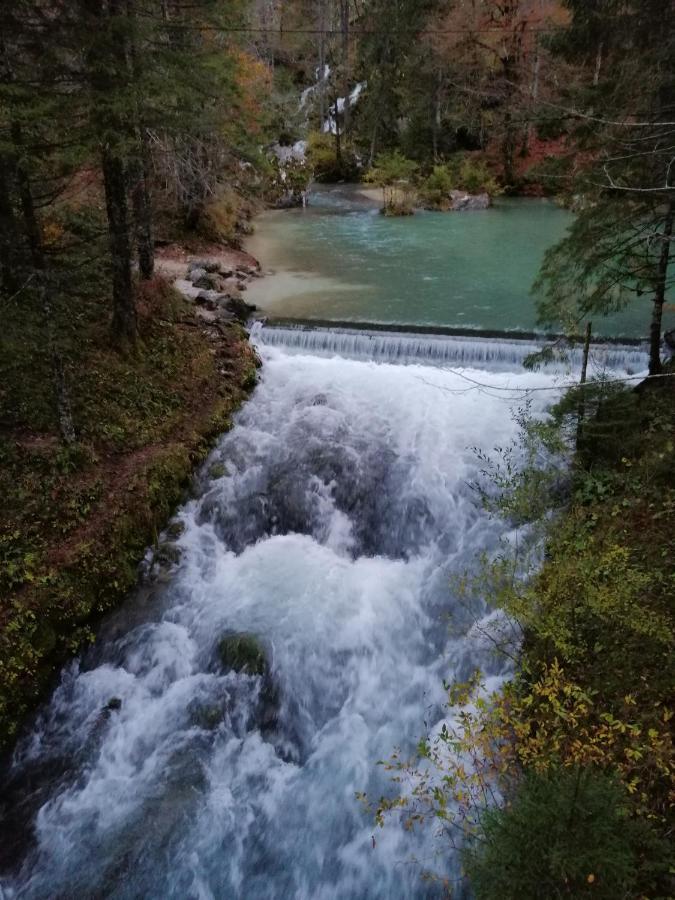 Skalca Villa Kamniska Bistrica Exteriör bild