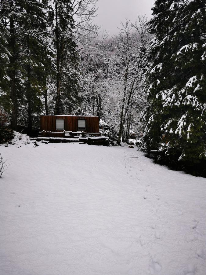 Skalca Villa Kamniska Bistrica Exteriör bild