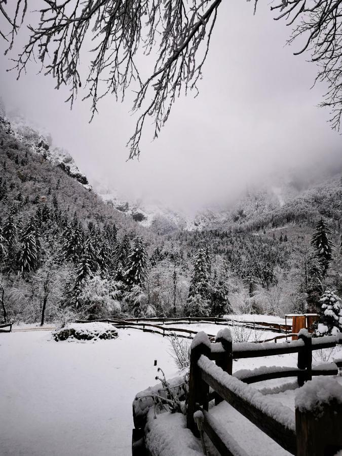 Skalca Villa Kamniska Bistrica Exteriör bild