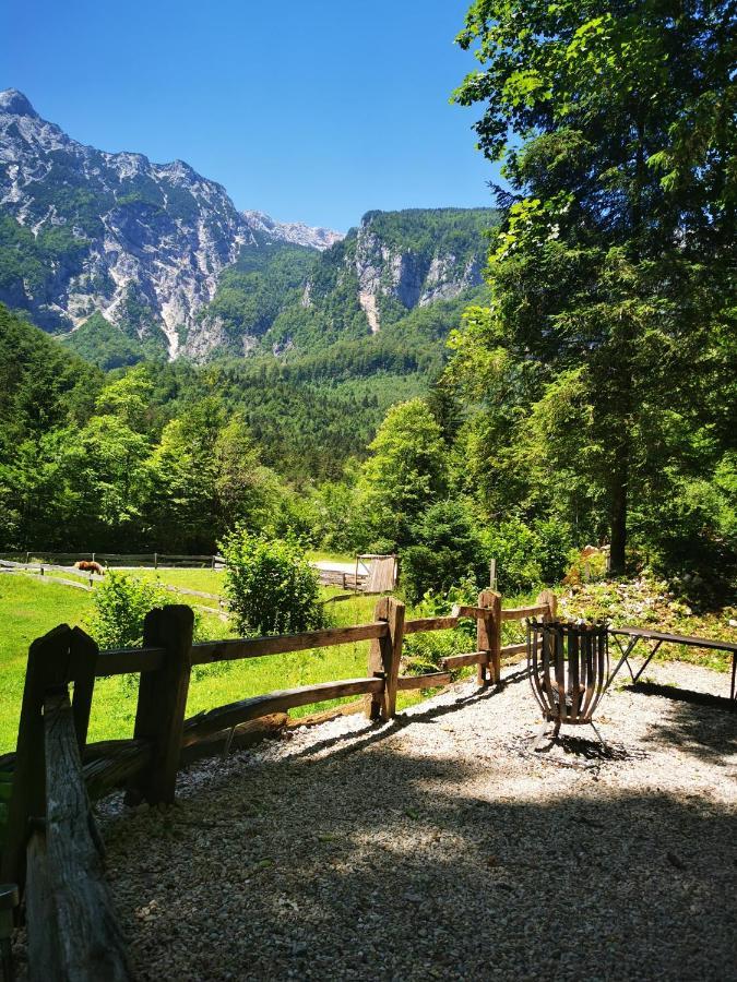 Skalca Villa Kamniska Bistrica Exteriör bild